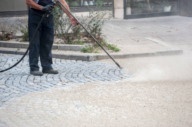 Best Gutter Cleaning  in Village Of The Branch, NY